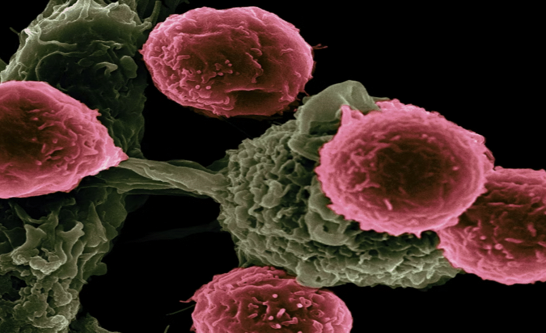 B.C. mother accuses wait times for Cancer diagnoses