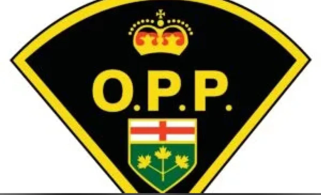 Ontario police charge eight in alleged truck licensing bribery scheme