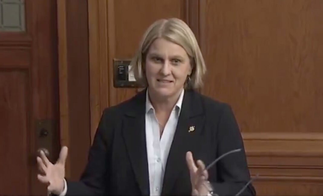 Sturko raises concerns about Chief’s reaction to Councillor’s texts on check-stop