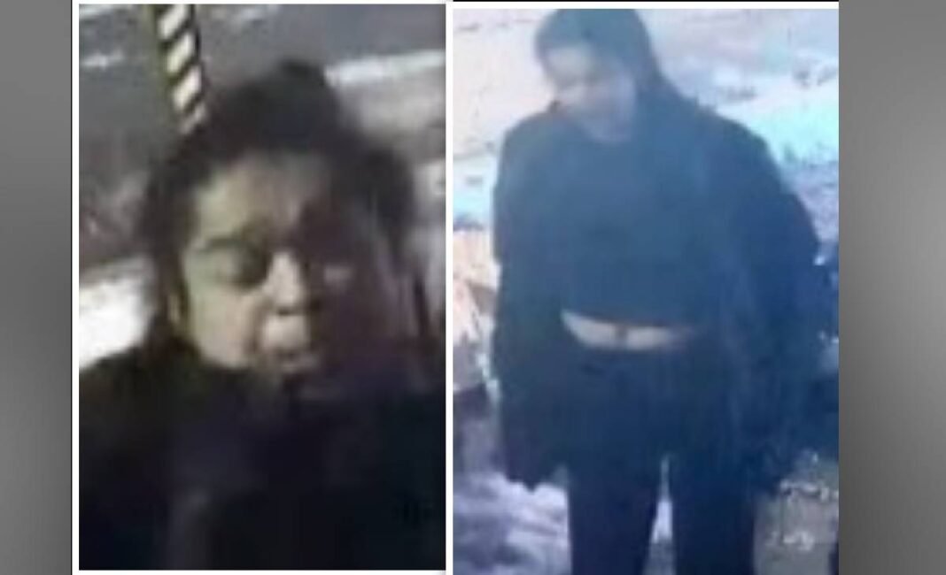 Two men arrested, woman still at large after nighttime assault in Toronto