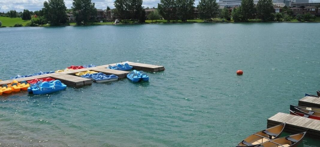 City of Brampton shares health and safety tips after waterfowl found dead around two local ponds