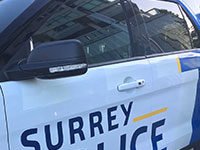 Arson investigation launched after targeted fire at Surrey Fruiticana