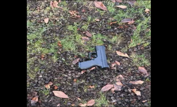 Man Arrested in Abbotsford after pointing fake gun at bus passengers