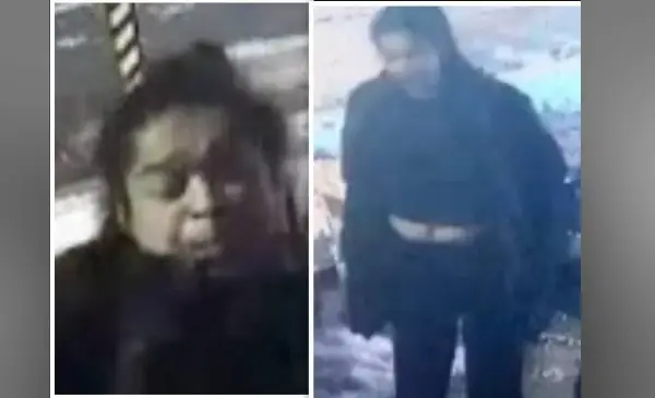 Two men arrested, woman still at large after nighttime assault in Toronto
