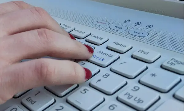 Fraud hits Canadians hard: losses top $544m, four-in-five affected