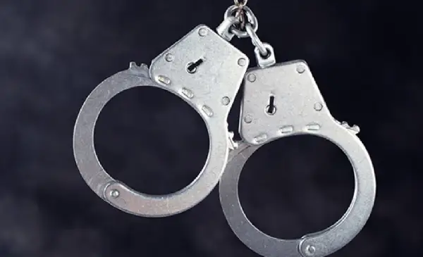 Halton Police arrested two suspects in Oakville dealership break-In