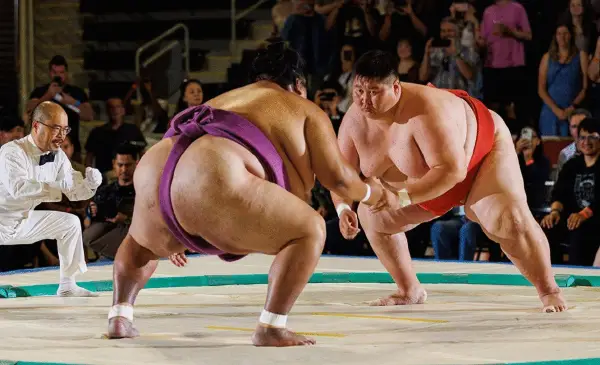 Calgary to host Canada’s first Sumo wrestling festival this March