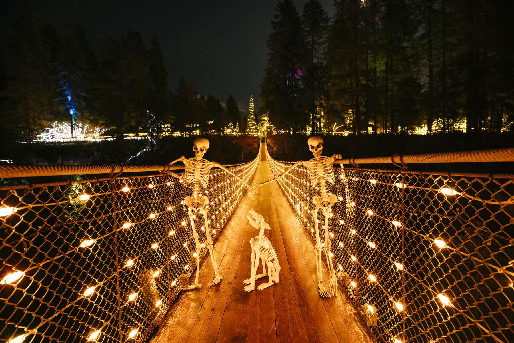 Canyon Frights is Back and Capilano Suspension Bridge Park has Never Been Spookier