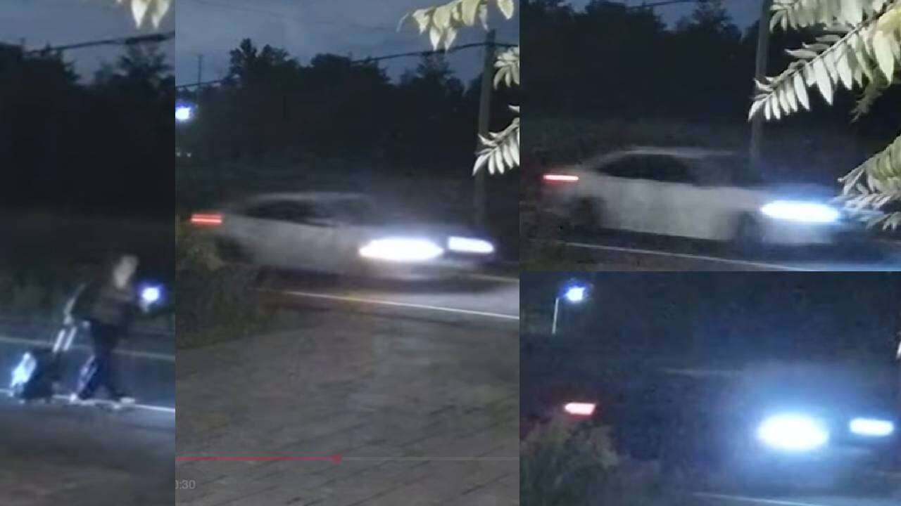 York Police Seek Drivers After Fatal Vaughan Hit-and-Run 