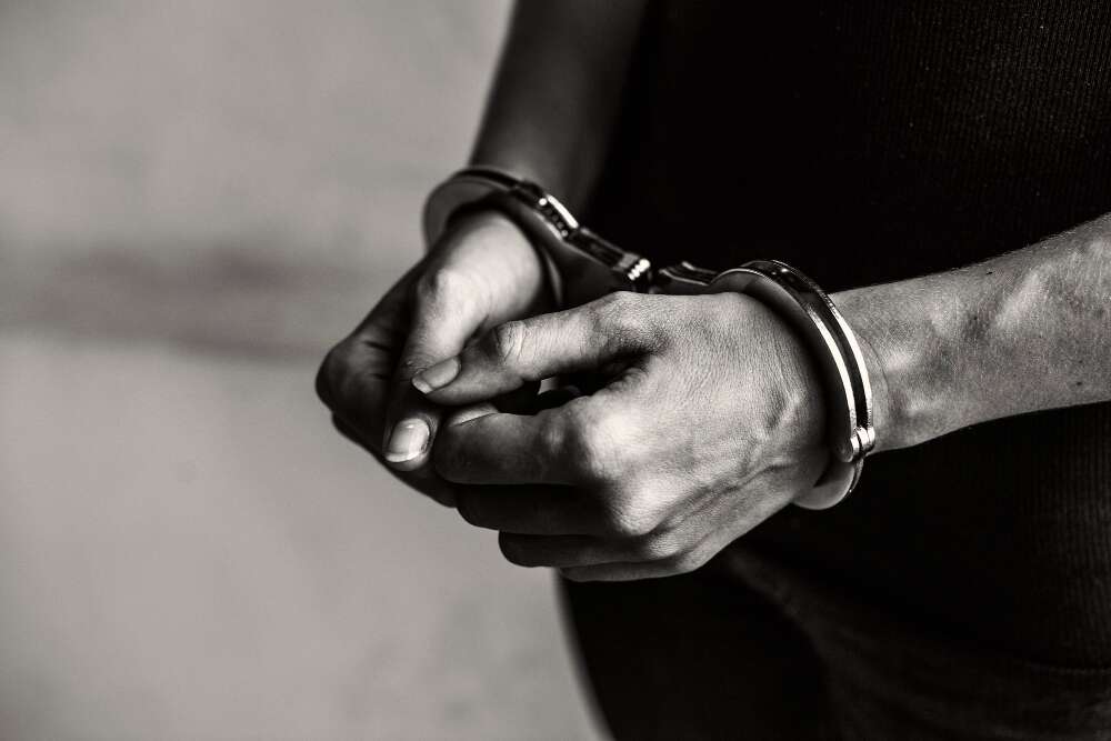 12 arrested in violent crime network tied to home invasions, luxury car thefts across Peel Region: Police