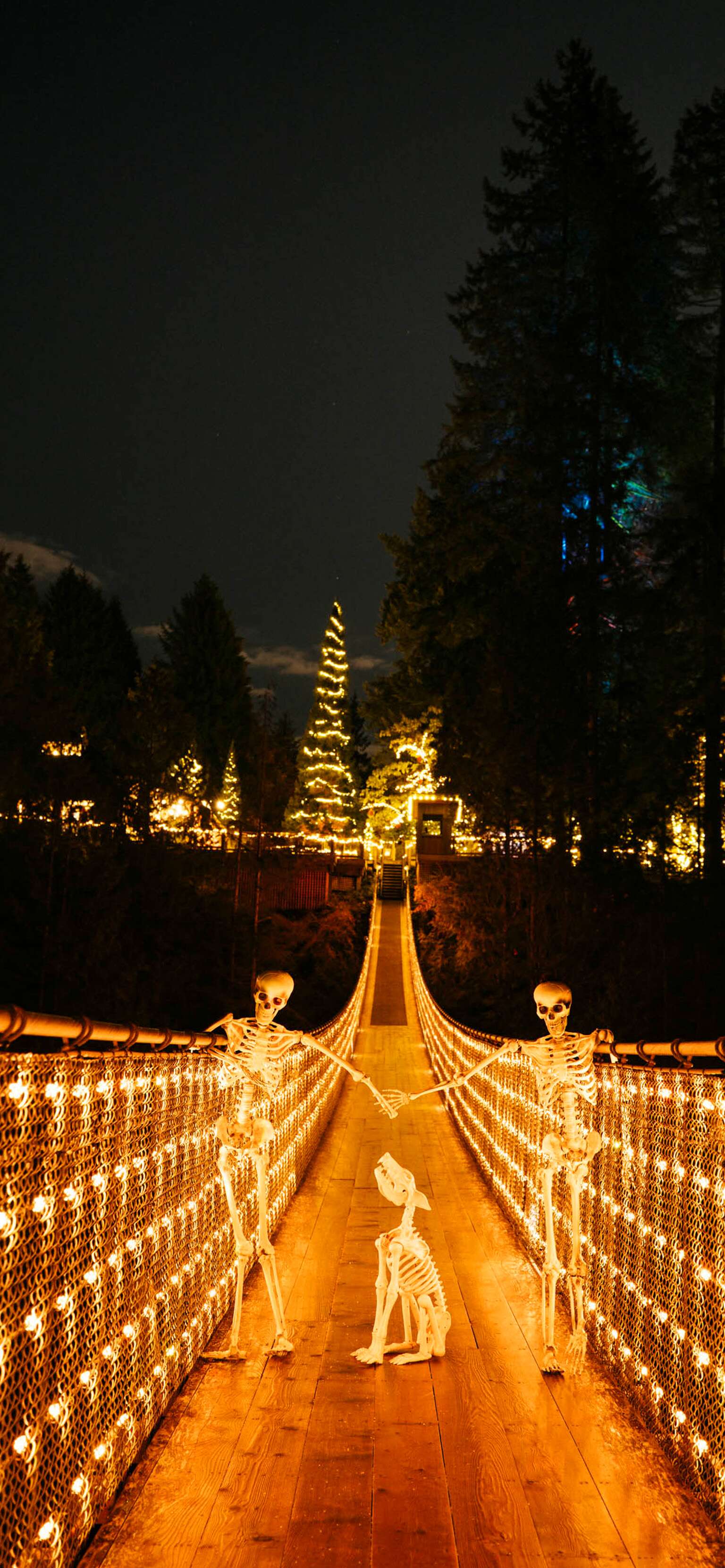 Canyon Frights is Back and Capilano Suspension Bridge Park has Never Been Spookier - Image 2