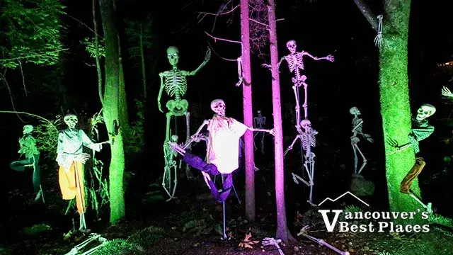Canyon Frights is Back and Capilano Suspension Bridge Park has Never Been Spookier - Image 3