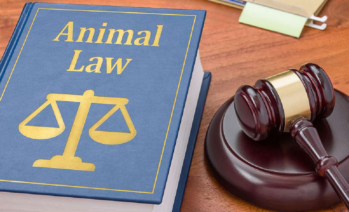Over 90% of B.C. Residents Value Local Animal Control