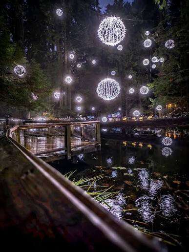 Canyon Frights is Back and Capilano Suspension Bridge Park has Never Been Spookier - Image 9