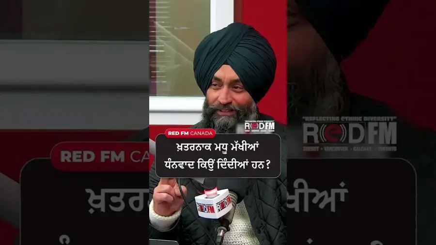 ਖ਼ਤਰਨਾਕ ਮਧੂ ਮੱਖੀਆਂ ਧੰਨਵਾਦ ਕਿਉਂ ਦਿੰਦੀਆਂ ਹਨ ?
