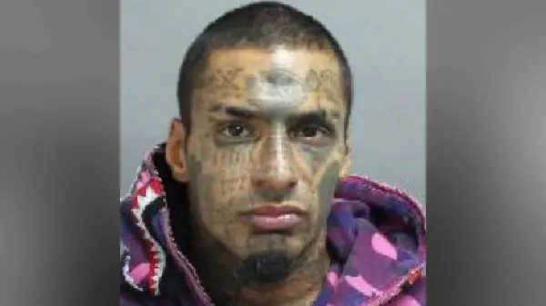 Toronto Man Charged in Child Luring Investigation