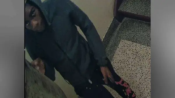  Three Arrested, One Wanted in Toronto Firearms Investigation