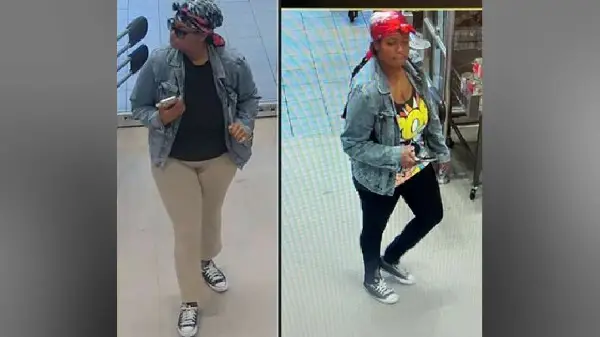 Toronto woman charged in series of purse thefts targeting seniors