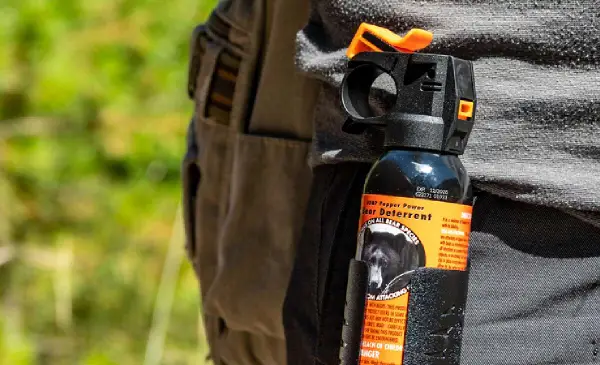 Student Arrested After Bear Spray Incident at Nanaimo High School