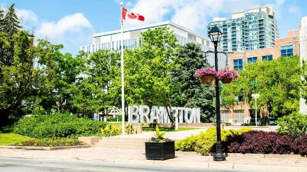Are Candidates’ Election Signs in Brampton Being Selectively Targeted?