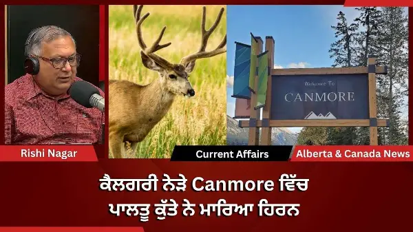 Calgary & Canada News | 13 October 2026
