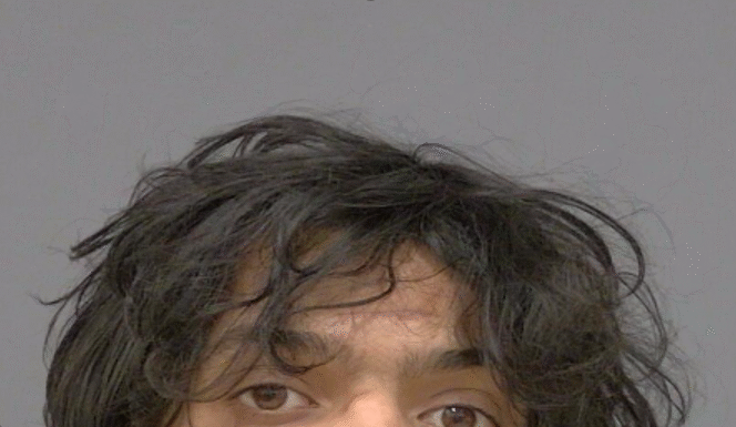Man arrested in multiple vehicle break-ins in Mississauga