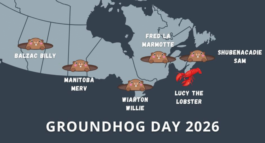 Wiarton Willie joins early spring predictions on groundhog day 2026