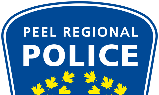Brampton Transit bus involved in multi-vehicle collision
