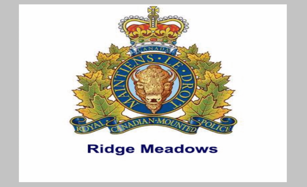 Suspected serial kidnapper in B.C. faces multiple charges after Metro Vancouver attacks