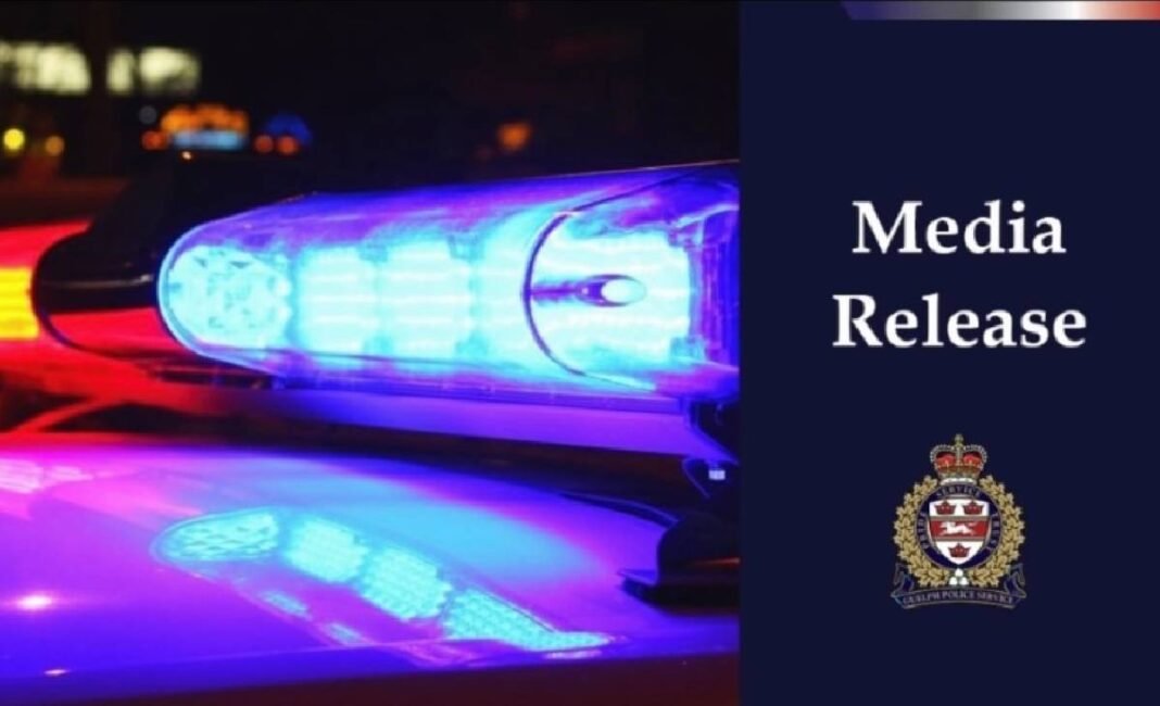 Man dies after being struck by GO Train near a Guelph station