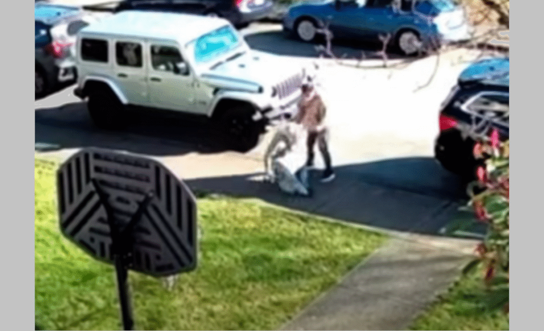 Police warn of senior-targeted thefts after 90-year-old assaulted in New Westminster