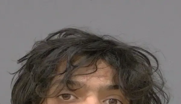 Man arrested in multiple vehicle break-ins in Mississauga