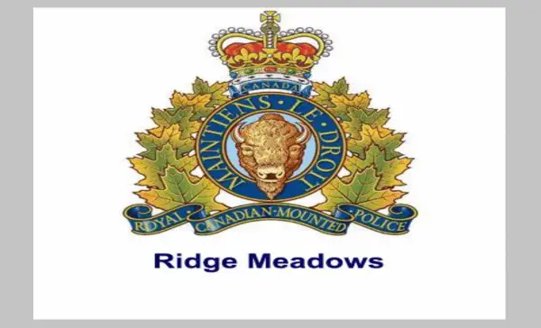 Suspected serial kidnapper in B.C. faces multiple charges after Metro Vancouver attacks