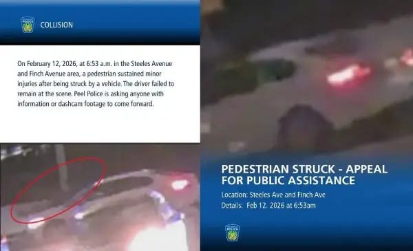 Pedestrian struck and injured in Brampton