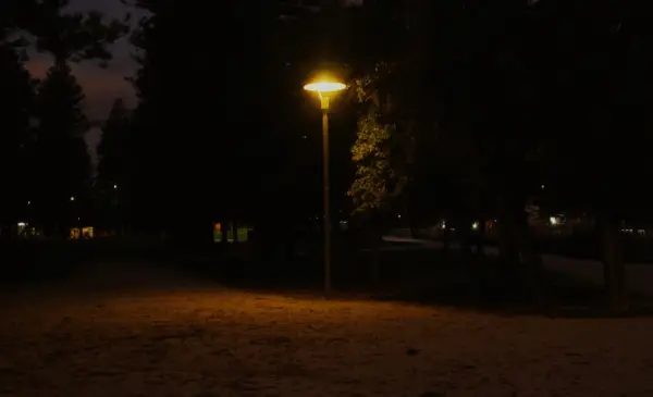 Burnaby RCMP investigating sexual assault at Lobley Park