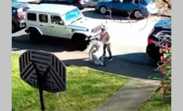 Police warn of senior-targeted thefts after 90-year-old assaulted in New Westminster