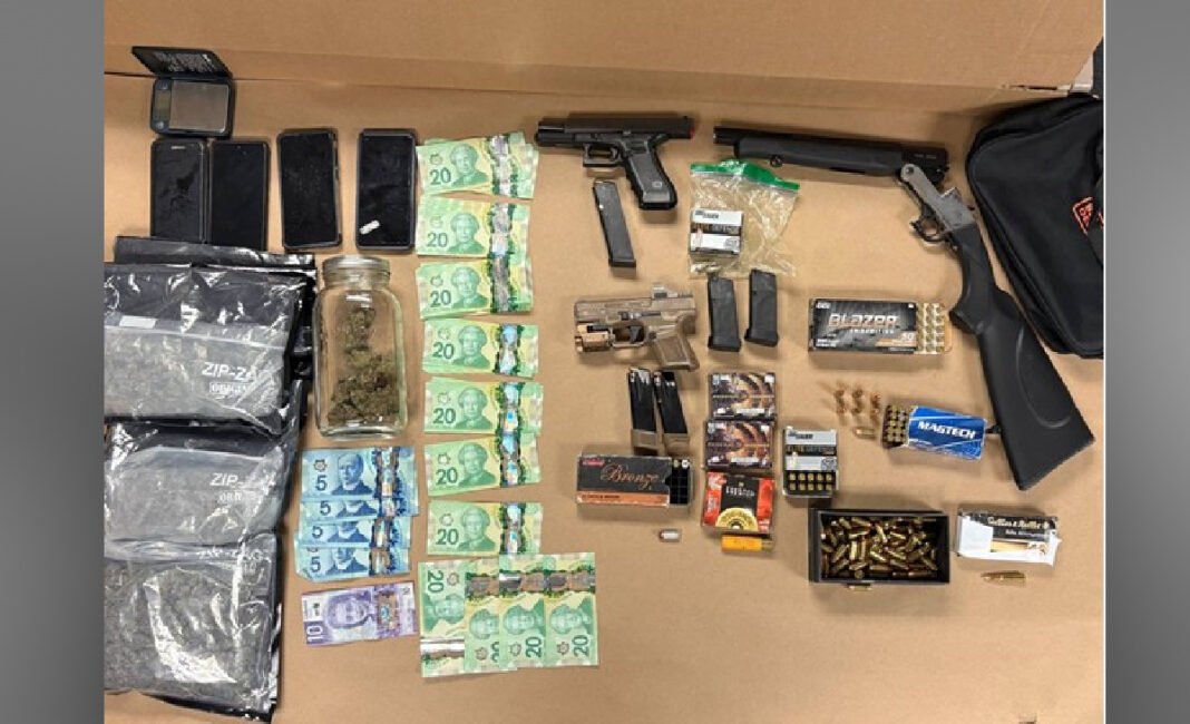 Toronto man arrested after loaded guns, drugs seized in Northwest End search