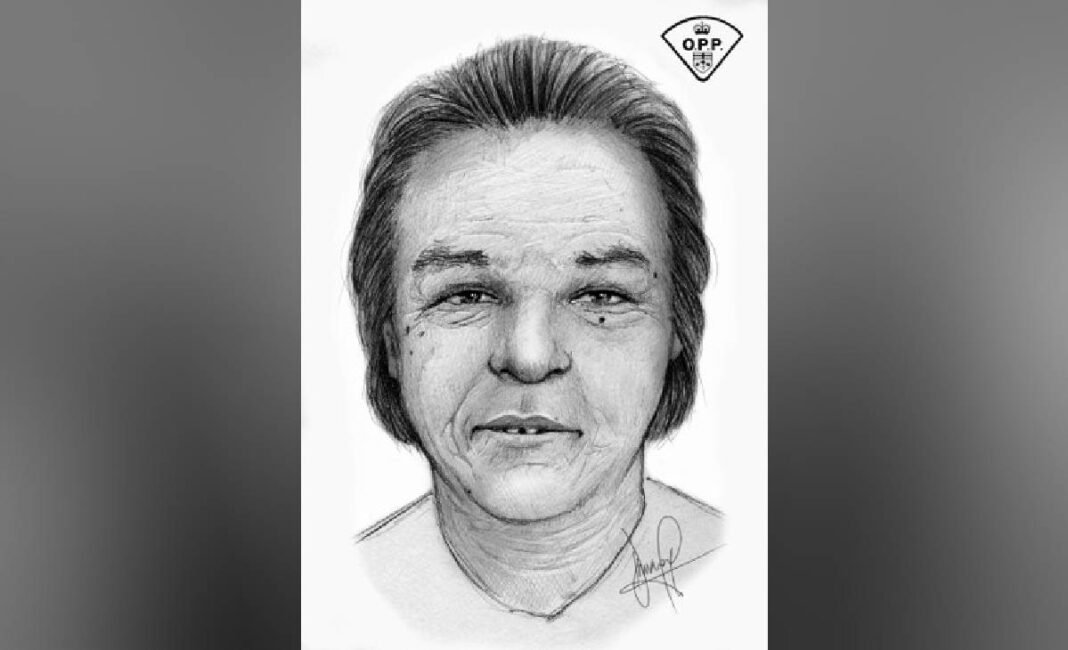 Toronto police seek public’s help identifying woman found dead near Union Station
