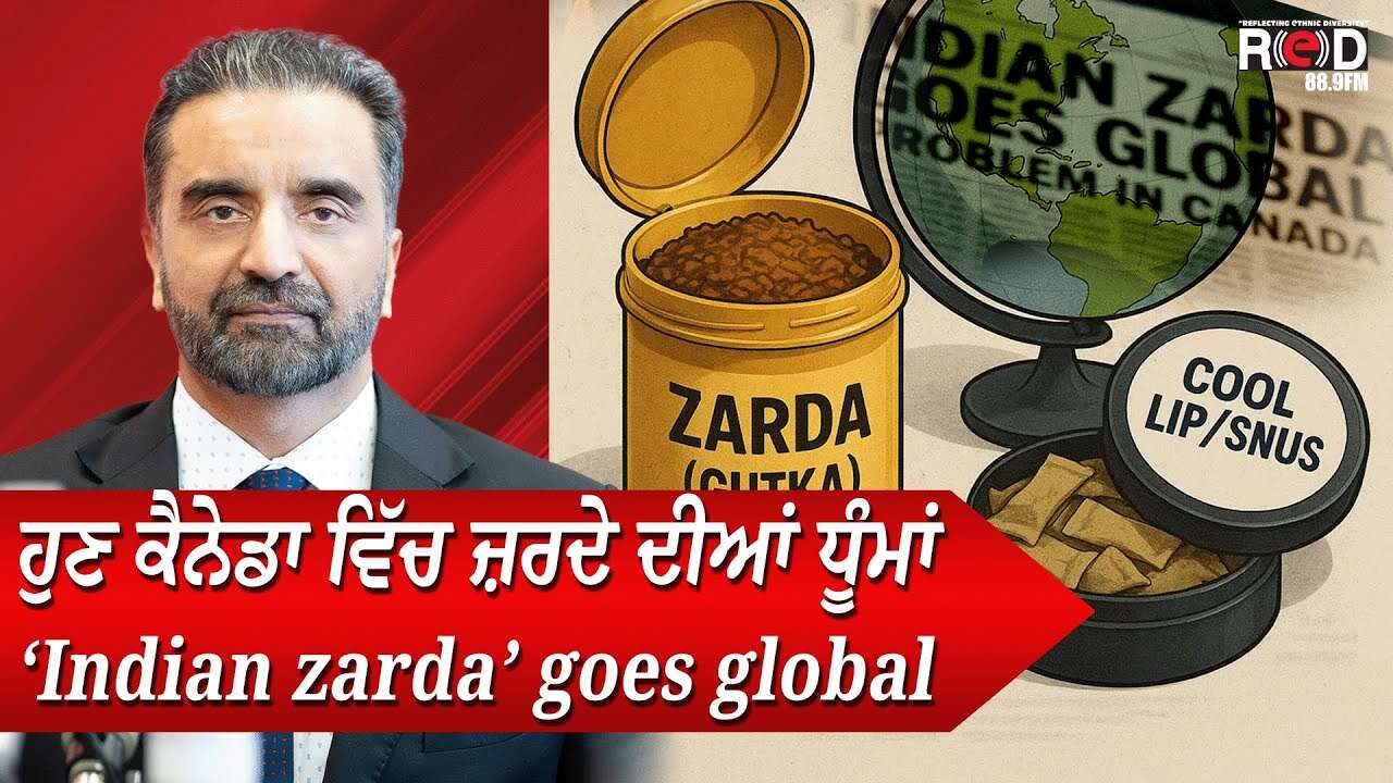 ਹੁਣ ਕੈਨੇਡਾ ਵਿੱਚ ਜ਼ਰਦੇ ਦੀਆਂ ਧੂੰਮਾਂ | "Indian Zarda" Goes Global | Tobacco, Cool Lip, SNUS & More