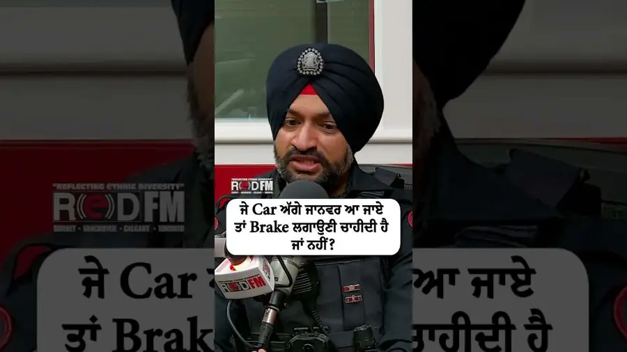 ਜੇ Car ਅੱਗੇ ਜਾਨਵਰ ਆ ਜਾਏ ਤਾਂ Brake ਲਗਾਉਣੀ ਚਾਹੀਦੀ ਹੈ ਜਾਂ ਨਹੀਂ ?