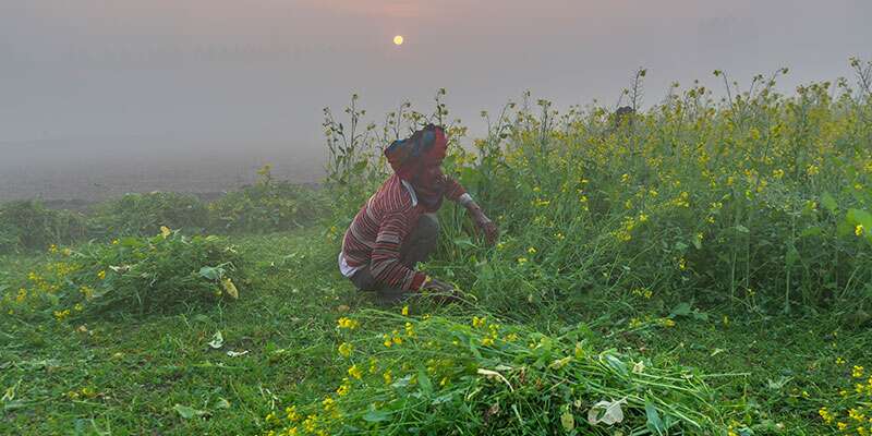 NRI's Are Worried About Their Land in India, during COVID-19