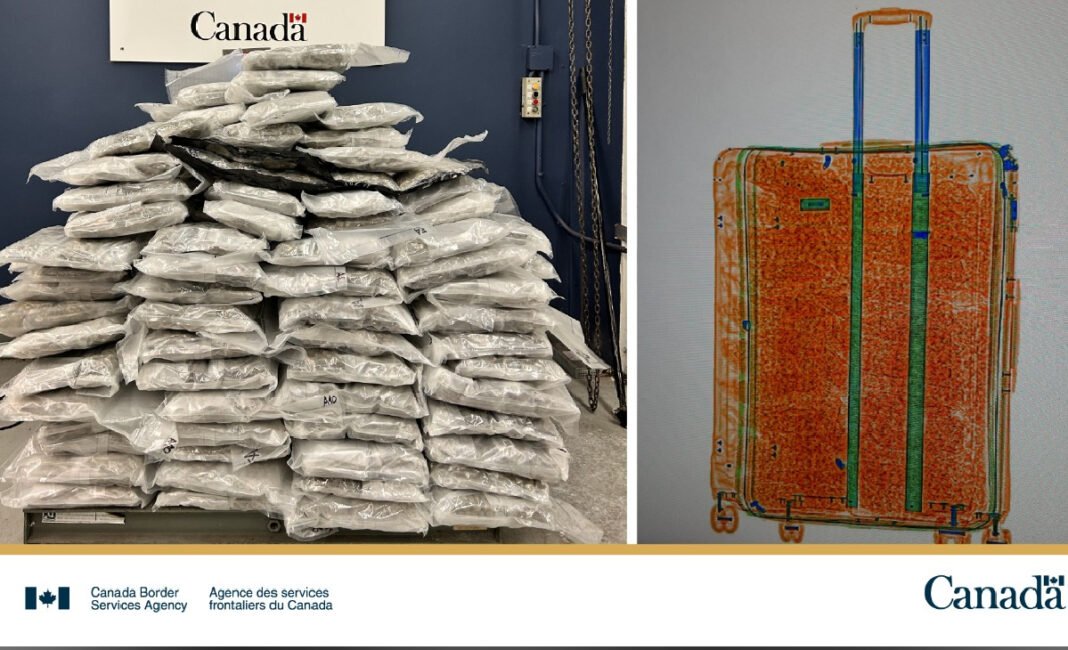 CBSA seizes over 1,000 kg of illegal cannabis at GTA outbound points