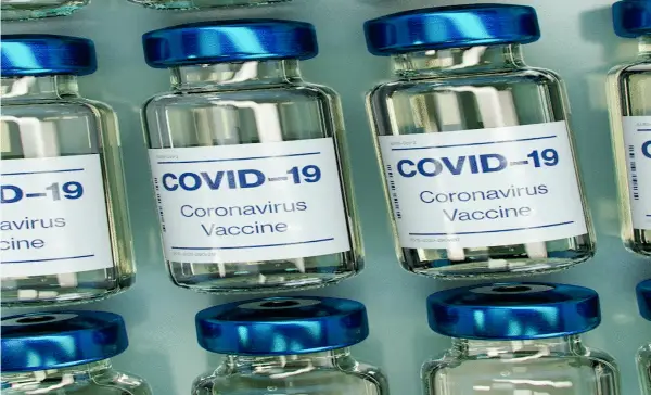 Federal Court of Appeal rejects EI claim from B.C. health executive fired over vaccine refusal