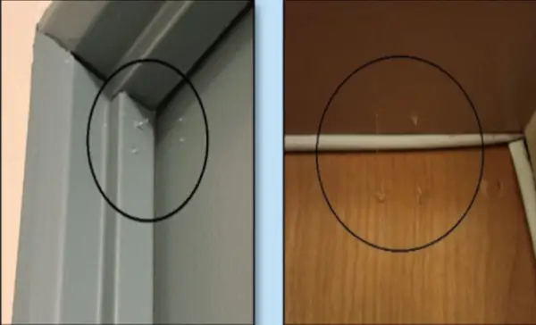 Vancouver police warn of glue tactic used by thieves to target apartments