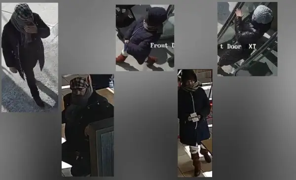 Toronto police seek public help to identify suspects in $5,000 theft