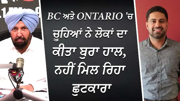 BC ਅਤੇ Ontario 'ਚ ਚੂਹਿਆਂ ਨੇ ਲੋਕਾਂ ਦਾ ਕੀਤਾ ਬੁਰਾ ਹਾਲ, ਨਹੀਂ ਮਿਲ ਰਿਹਾ ਛੁਟਕਾਰਾ | Why No Rats In Alberta?