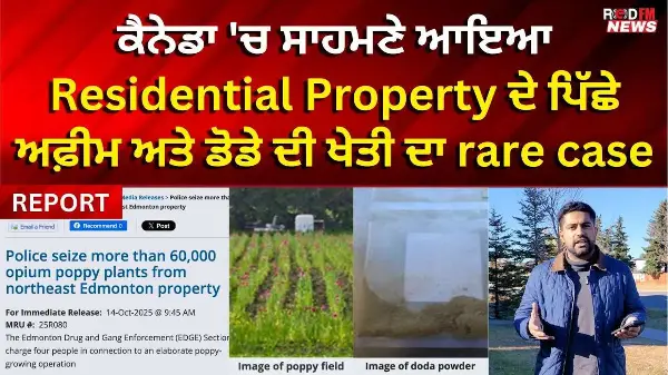 ਕੈਨੇਡਾ 'ਚ ਸਾਹਮਣੇ ਆਇਆ Residential Property ਦੇ ਪਿੱਛੇ ਅਫ਼ੀਮ ਅਤੇ ਡੋਡੇ ਦੀ ਖੇਤੀ ਦਾ rare case | RED FM NEWS