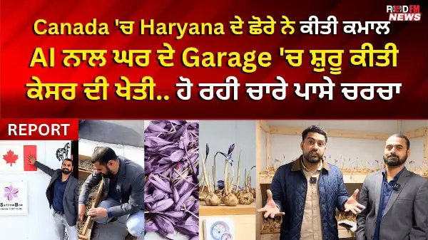 Haryana guy in Canada grows Saffron in garage using AI, sparks buzz | RED FM Calgary
