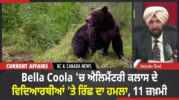 BC & Canada News | ਐਲਿਮੈਂਟਰੀ ਕਲਾਸ ਦੇ ਵਿਦਿਆਰਥੀਆਂ ’ਤੇ ਰਿੱਛ ਦਾ ਹਮਲਾ, 11 ਜ਼ਖ਼ਮੀ | November 21, 2025