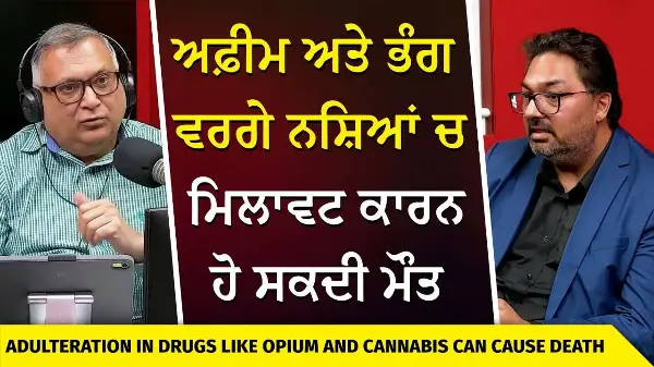 Drugs Like Opium and Cannabis Can Cause Death | ਅਫ਼ੀਮ ਅਤੇ ਭੰਗ ਵਰਗੇ ਨਸ਼ਿਆਂ ਚ ਮਿਲਾਵਟ ਕਾਰਨ ਹੋ ਸਕਦੀ ਮੌਤ